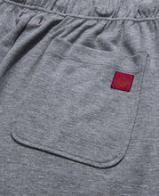 Load image into Gallery viewer, Metallic Weave Drawstring Sweat Pants (Grey)
